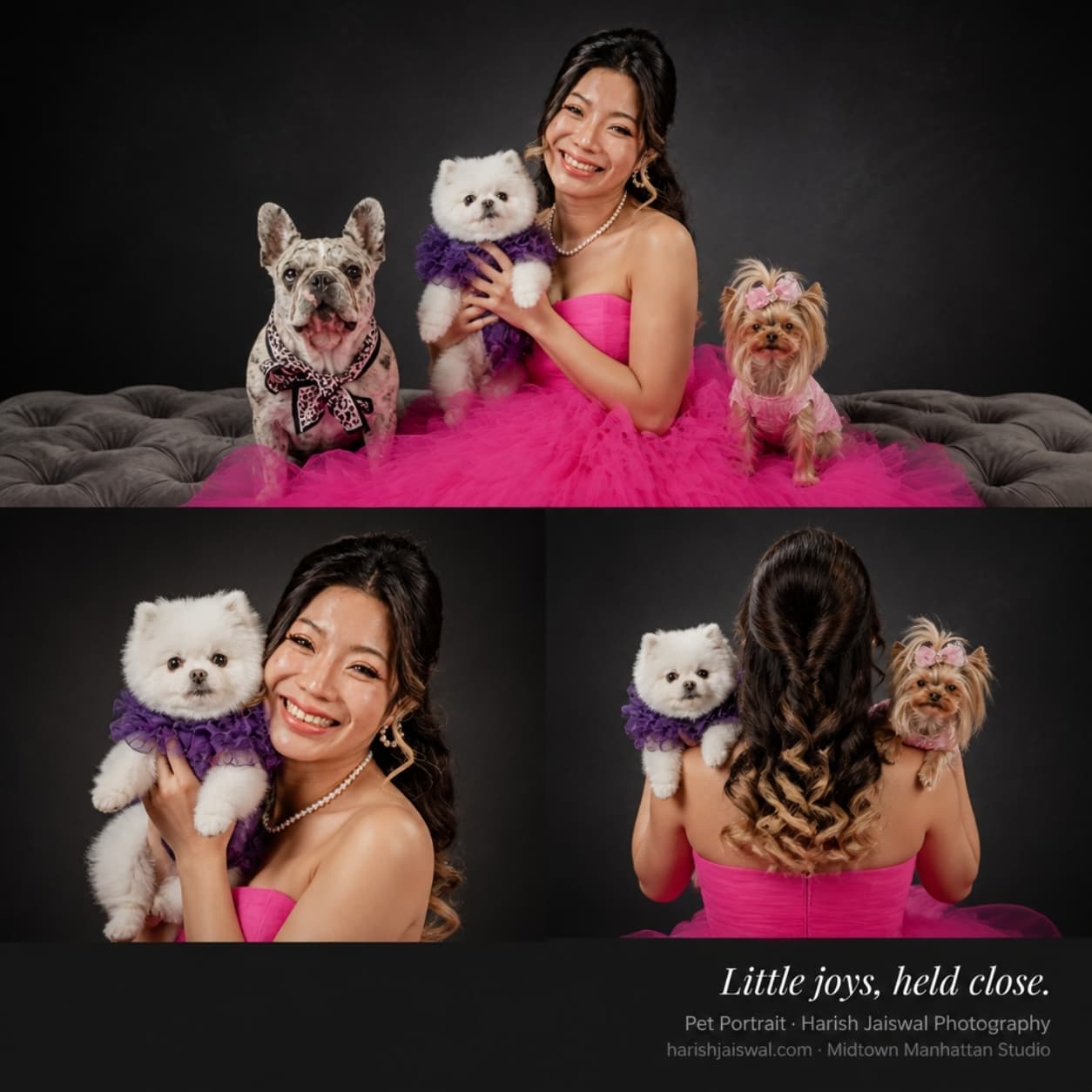 Pet Portraits