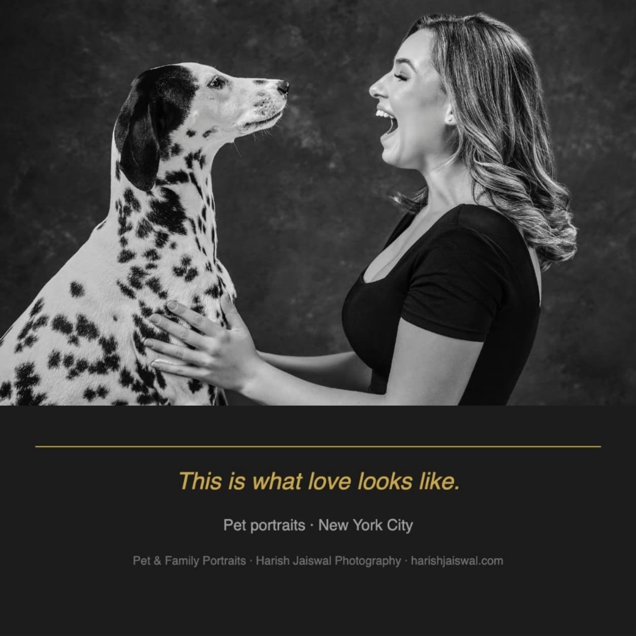 Dalmatian Pet Family