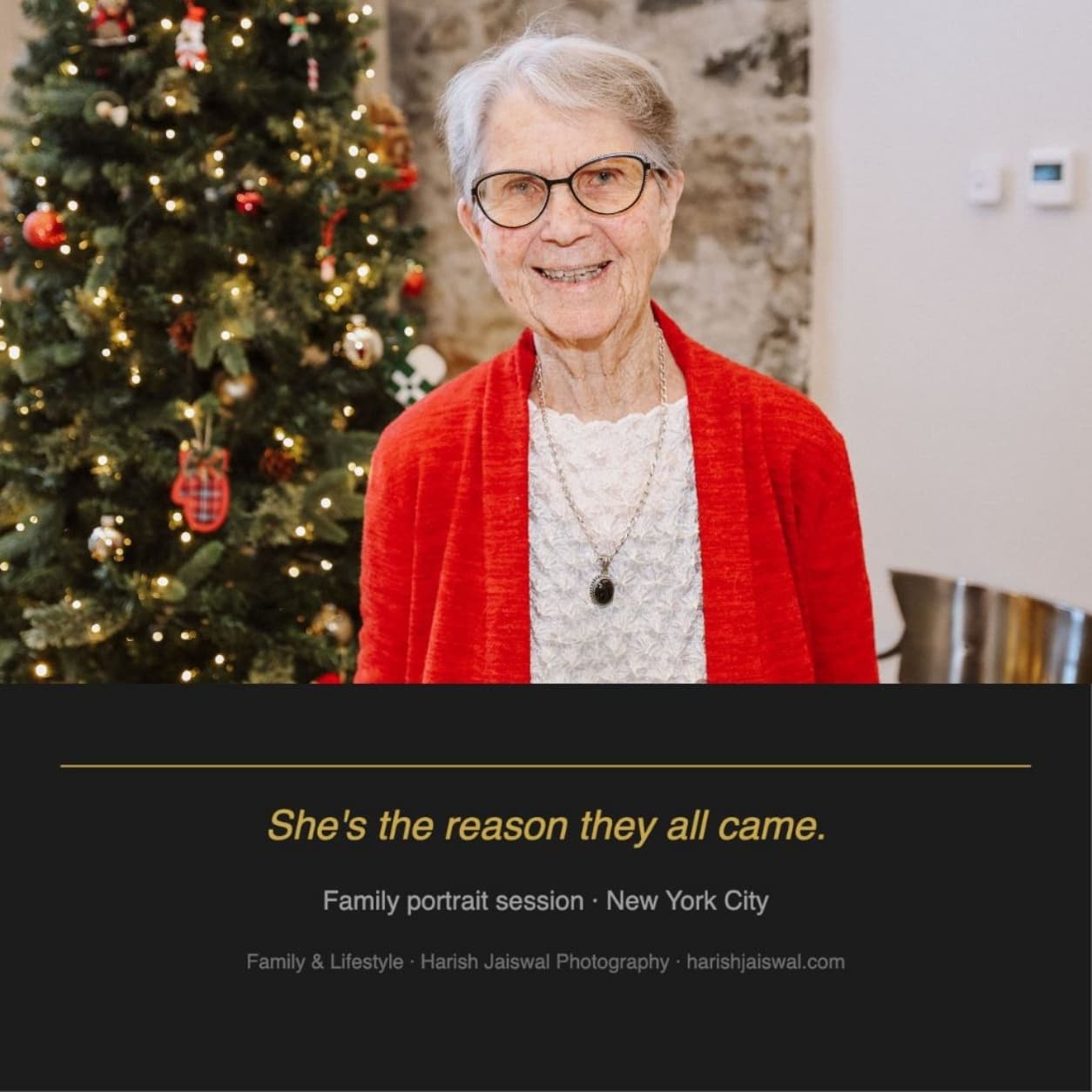 Holiday Family Portraits