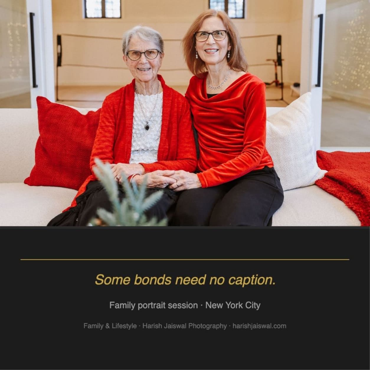 Holiday Family Portraits