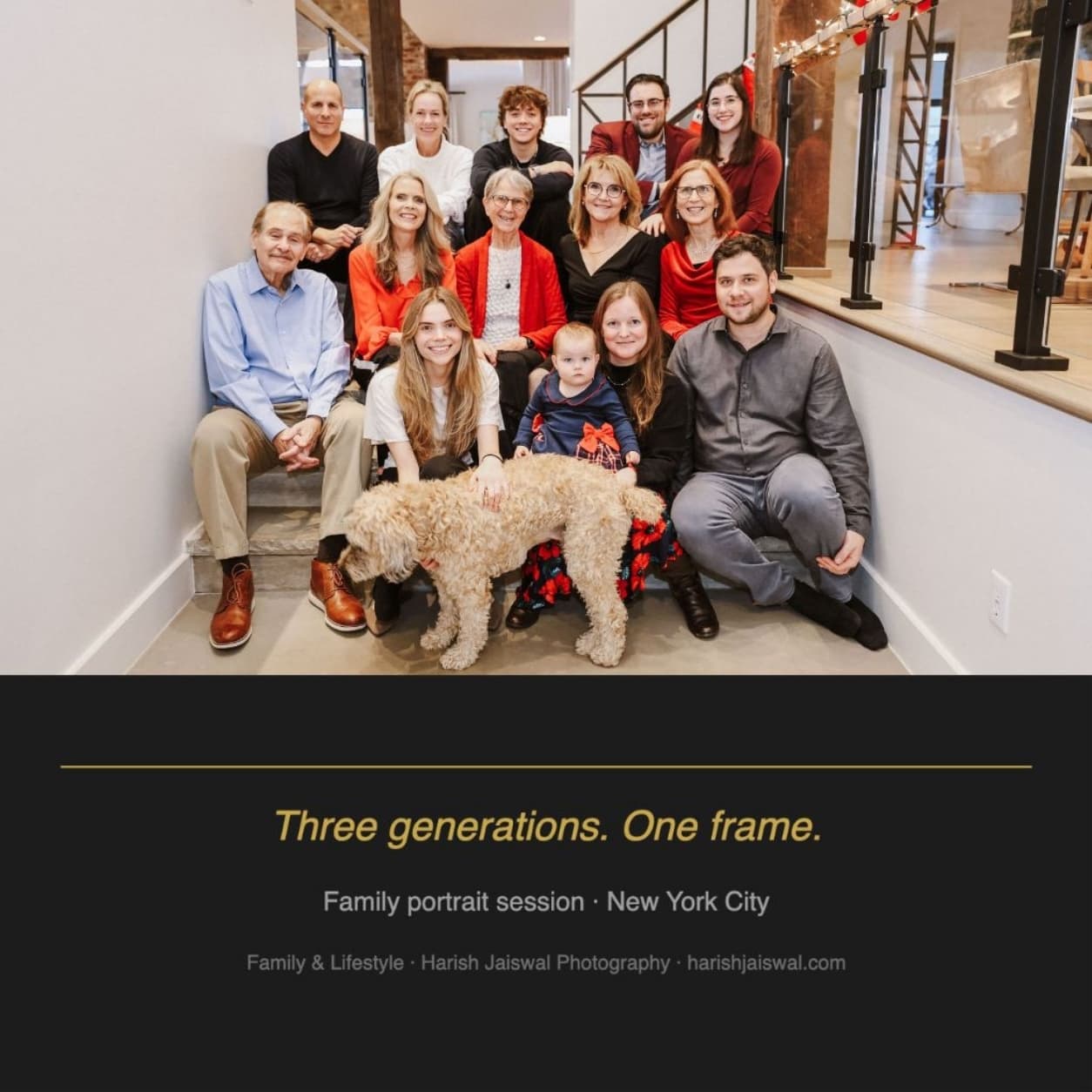 Holiday Family Portraits